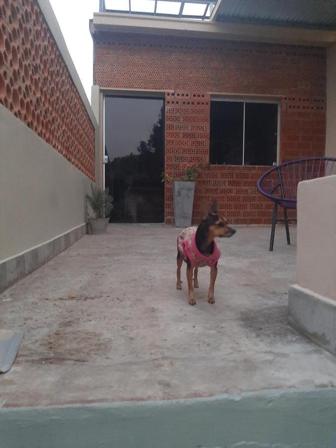Taguato Apartment Asuncion Exterior photo